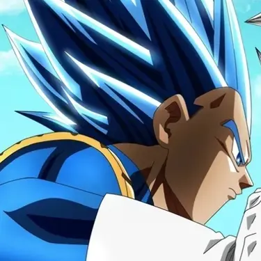 Vegeta PFP