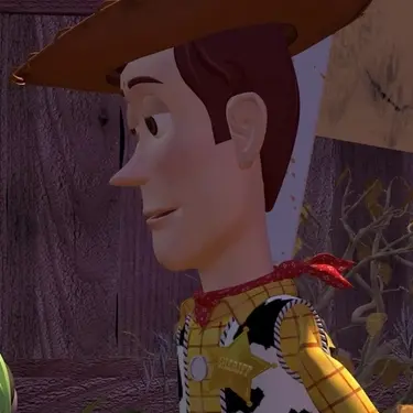 Woody PFP