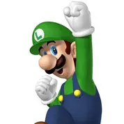 Luigi Matching PFP